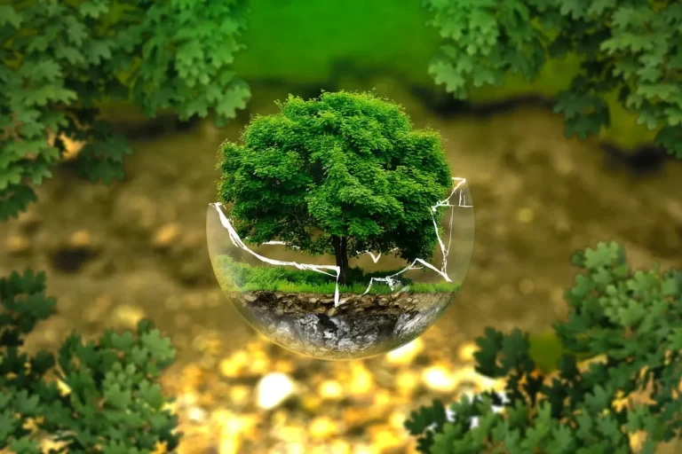 تقييم الأثر البيئي بأنه نشاط مُصمم لتحديد التأثير الناتج عن مشروع